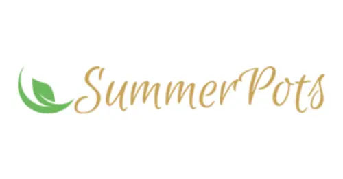 Summer Pots Florist - 16 Best Cheap Flowers in KL & Selangor