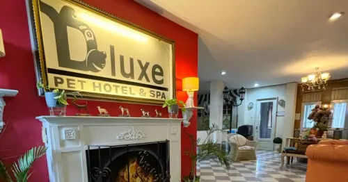 Dluxe Pet Hotel and Spa - Best Pet Hotel Manila