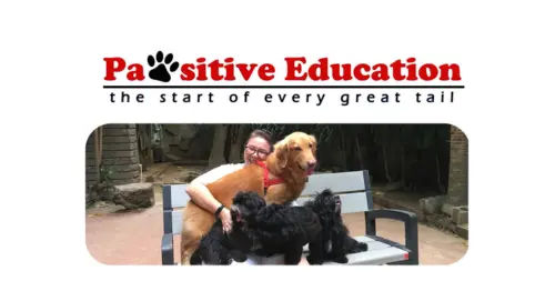 Pawsitive Education - Best Pet Hotel Manila