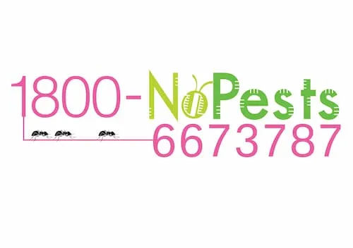 1800 - No Pests - Pest Control Singapore (Credit: 1800 - No Pests)