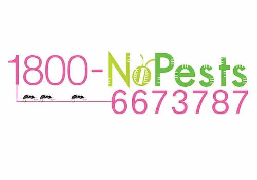 1800 - No Pests - Pest Control Singapore (Credit: 1800 - No Pests)