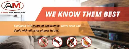 Advance Pest Management - Pest Control Singapore (Credit: Advance Pest Management)