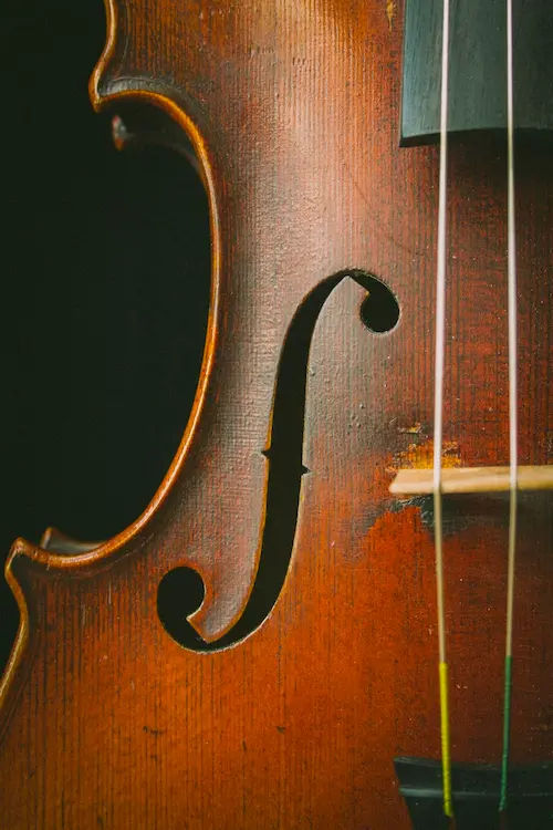 Aureus Academy -Violin Lesson Singapore