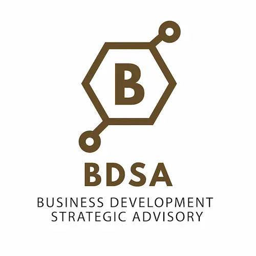  BDSA Pte Ltd - Creative Agency Singapore (Credit: BDSA Pte Ltd)   