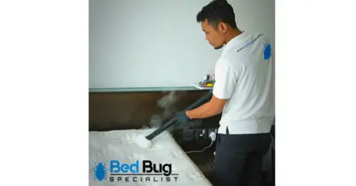 Bed Bug Specialist Singapore - Bed Bug Exterminator Singapore