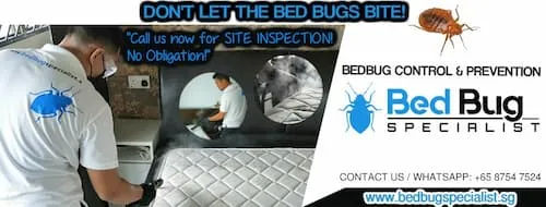 Bed Bug Specialist Singapore - Pest Control Singapore (Credit: Bed Bug Specialist Singapore)