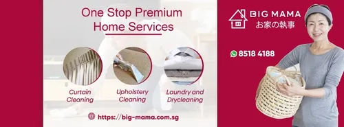  Big Mama - Sofa Cleaning Singapore (Credit: Big Mama) 