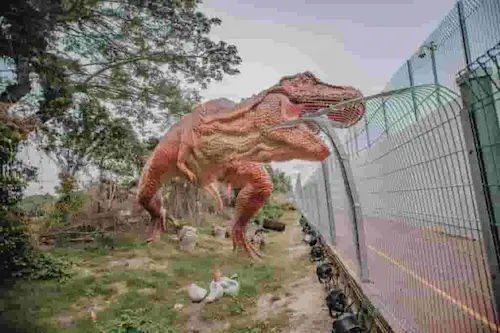 Changi Jurassic Mile - Things to do in Singapore