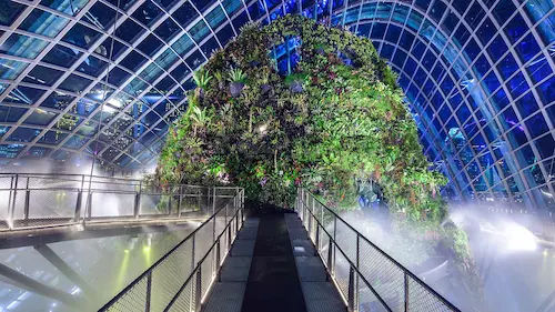 Cloud Forest – Things to do in Singapore