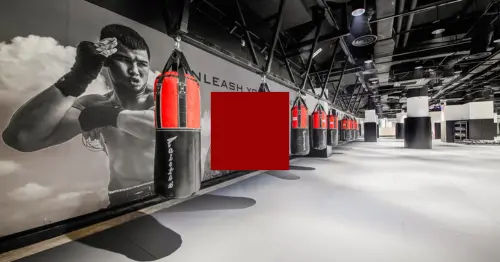 Evolve MMA - Gym Singapore