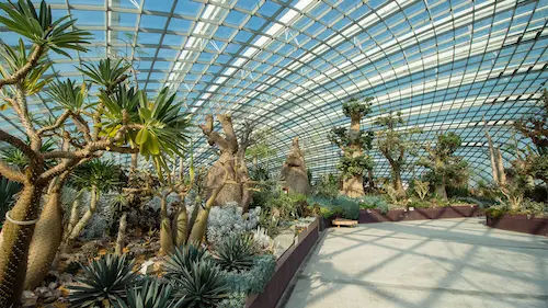 Flower Dome - Fun Things to do in Singapore (Credit: Gardens by the Bay)