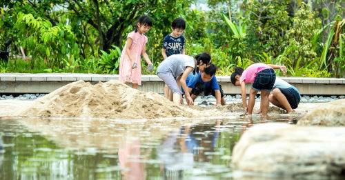  Forest Ramble & Clusia Cove at Jurong Lake Gardens - Best Outdoor Playground Singapore