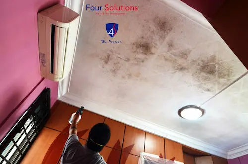 Four Solutions Pest & Air Management -Termite Control Singapore 