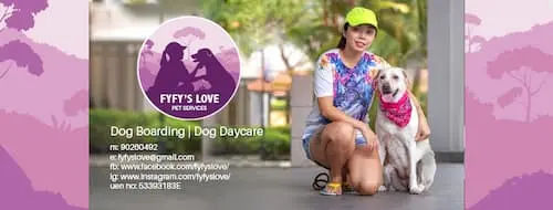 Fyfy’s Love Pet Services - Dog Boarding Singapore