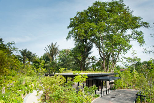 Gallop Extension at Botanic Gardens - Picnic Singapore