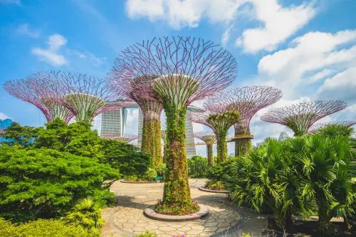Image Credit: Gardens by The Bay