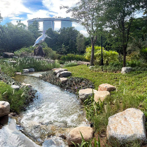 Gardens by the Bay - Picnic Singapore