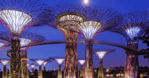 Super Tree Observatory - Fun Things to do in Singapore (Credit: Gardens by the Bay)