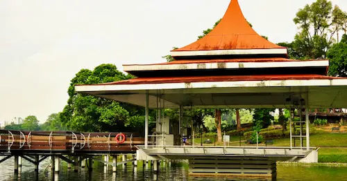 MacRitchie Reservoir Park