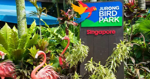 Explore Jurong Bird Park