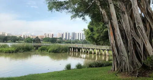 Go Kayaking at Jurong Lake