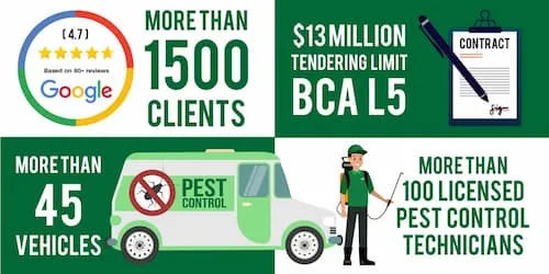 Killem Pest Pte Ltd - Pest Control Singapore (Credit: Killem Pest Pte Ltd)