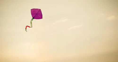 Kites