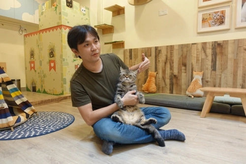  Meomi Cat Cafe - Cat Cafe Singapore