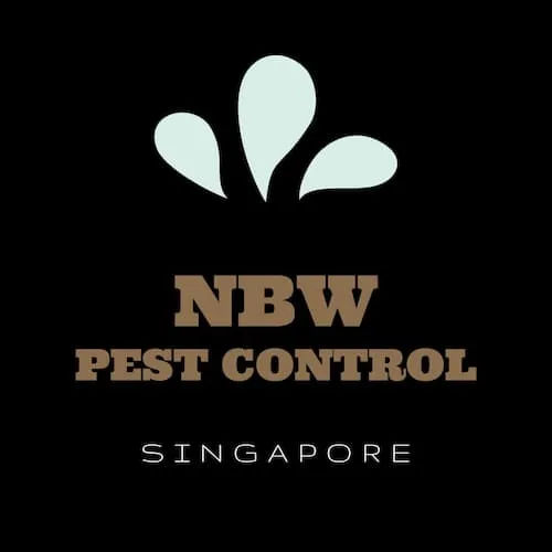  NBW Pest Control - Pest Control Singapore (Credit: NBW Pest Control)  