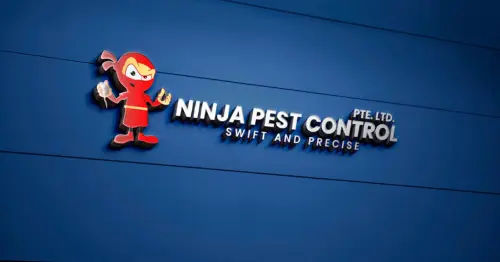 Ninja Pest Control - Car Fumigation Singapore (Credit: Ninja Pest Control)