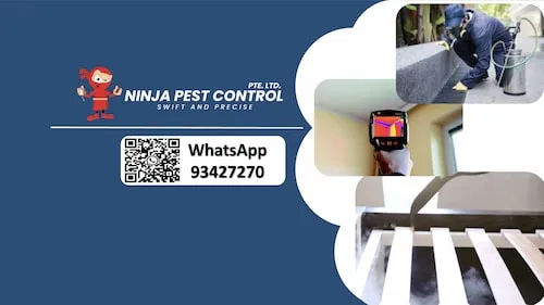 Ninja Pest Control - Pest Control Singapore (Credit: Ninja Pest Control)