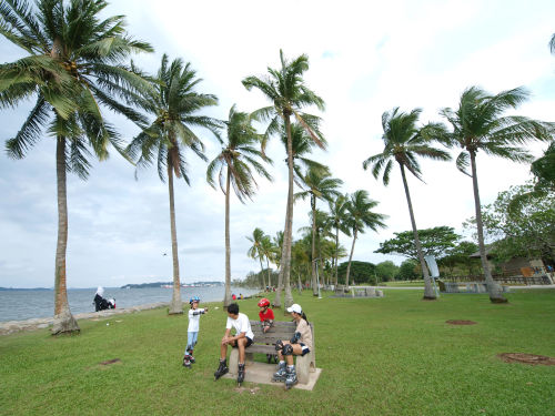 pasir ris park -  - Picnic Singapore