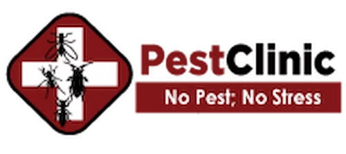  Pest Clinic - Pest Control Singapore (Credit: Pest Clinic)  