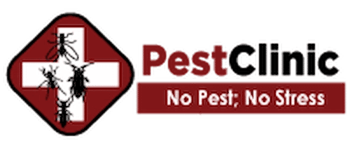 Pest Clinic - Pest Control Singapore (Credit: Pest Clinic)