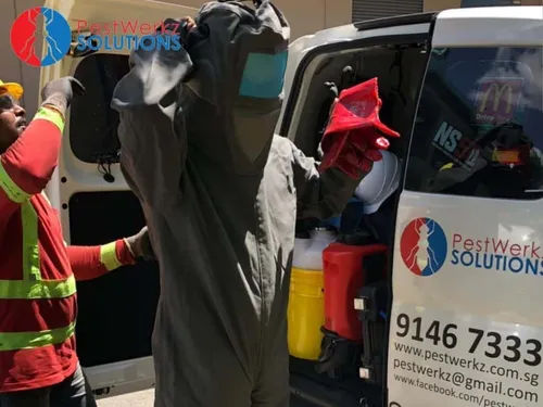 PestWerkz - Pest Control Singapore (Credit: PestWerkz)