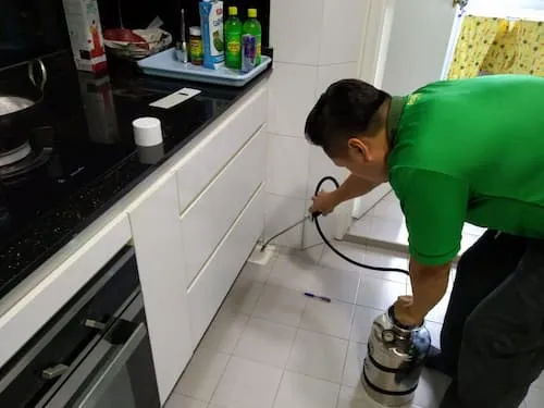 Pestology - Pest Control Singapore (Credit: Pestology)