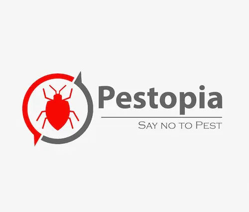 Pestopia - Pest Control Singapore (Credit: Pestopia)