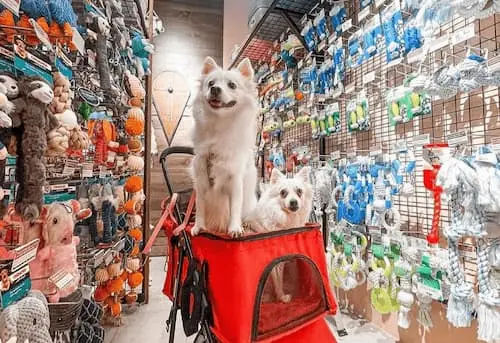 Pet Lovers Centre - Pet Shop Singapore 