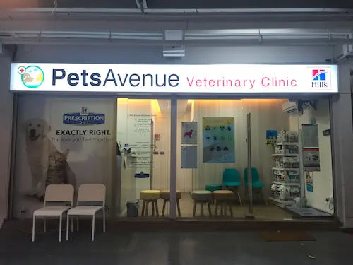 Pets Avenue - Vet Clinic Singapore