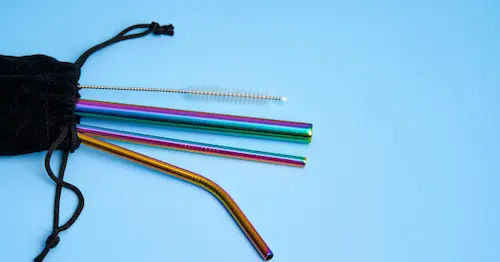 Portable Stainless Steel Straw Kit