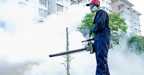 ProServ Pest - Bed Bug Exterminator Singapore