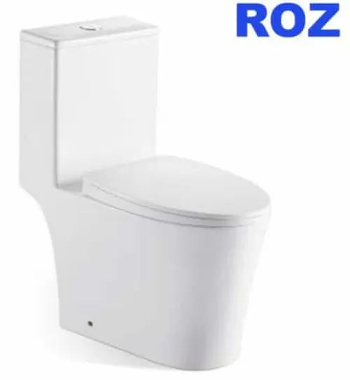 ROZ 828 1-PC Toilet Bowl - Toilet Bowl Singapore