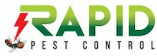  Rapid Pest Control - Pest Control Singapore (Credit: Rapid Pest Control)  
