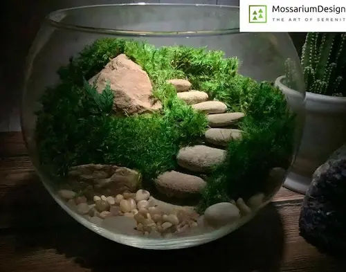 Rock Terrarium (Credit: Pinterest)