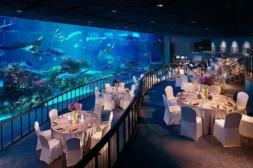 SEA Aquarium - Event Space Singapore (Credit: SEA Aquarium)