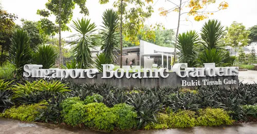 Stroll Through Singapore Botanic Gardens - Relaxing Things to Do in Singapore