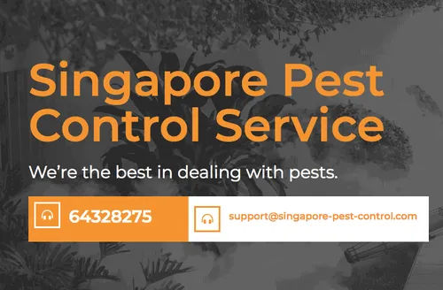 Singapore Pest Control Services - Pest Control Singapore (Credit: Singapore Pest Control Services)