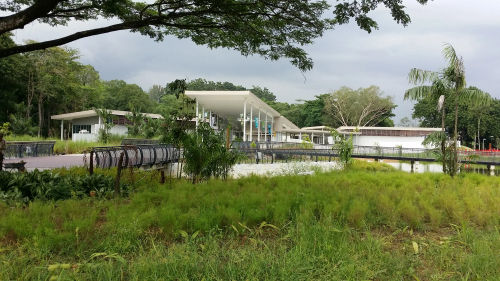 Sungei Buloh Wetland Reserve - Picnic Singapore