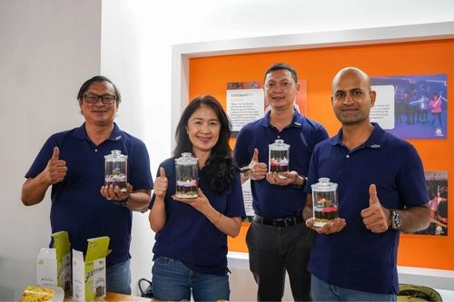 Terrarium Making - Large Group Games Singapore