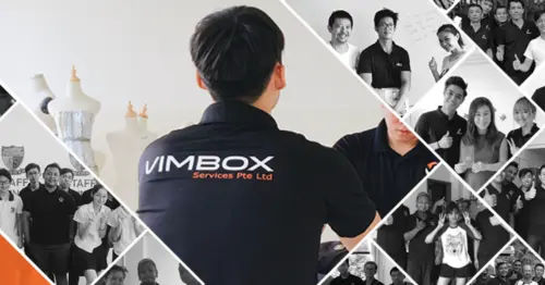 (Credit: Vimbox Movers)